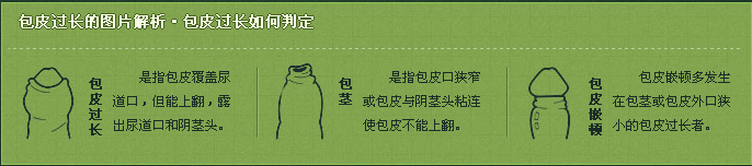 包皮包茎图片,包皮包茎区别,包皮包茎手术,包皮包茎咨询