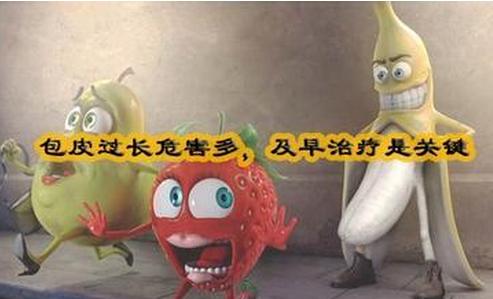 包皮包茎价格,包皮包茎费用,割包皮包茎多钱,包皮包茎危害,包皮包茎症状