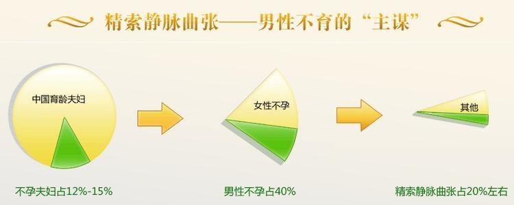 精索静脉曲张病因,预防精索静脉曲张,治精索静脉曲张,精索静脉曲张危害,精索静脉曲张影响
